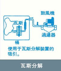 東莞市首普機電與上海Prow普柔網絡技術的深度合作與信息化實踐