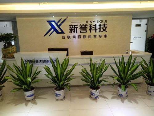 上海新譽網絡科技 引領上海網絡技術創新的先鋒力量